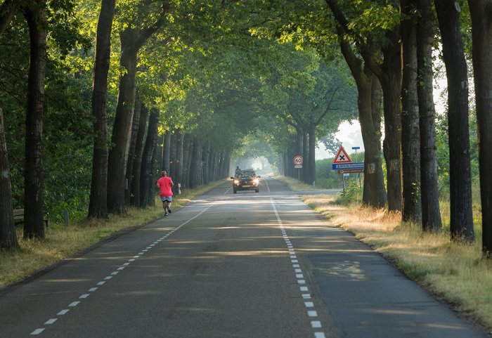 de Alphensebaan