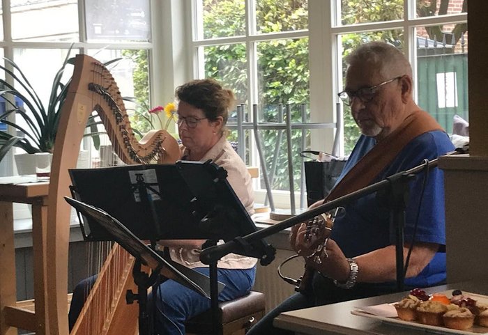 Twee personen bespelen een hark en een gitaar