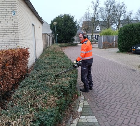 Medewerker groen snoeit haag