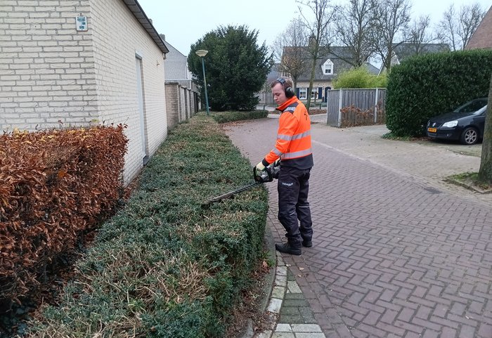 Medewerker groen snoeit haag