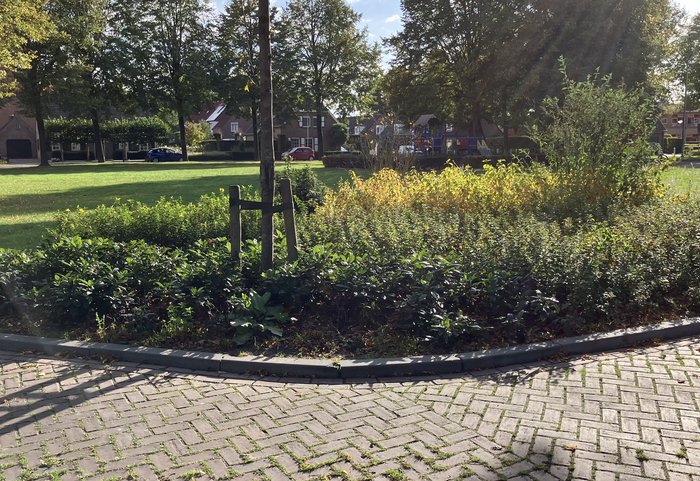 groen in de gemeente