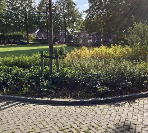 groen in de gemeente